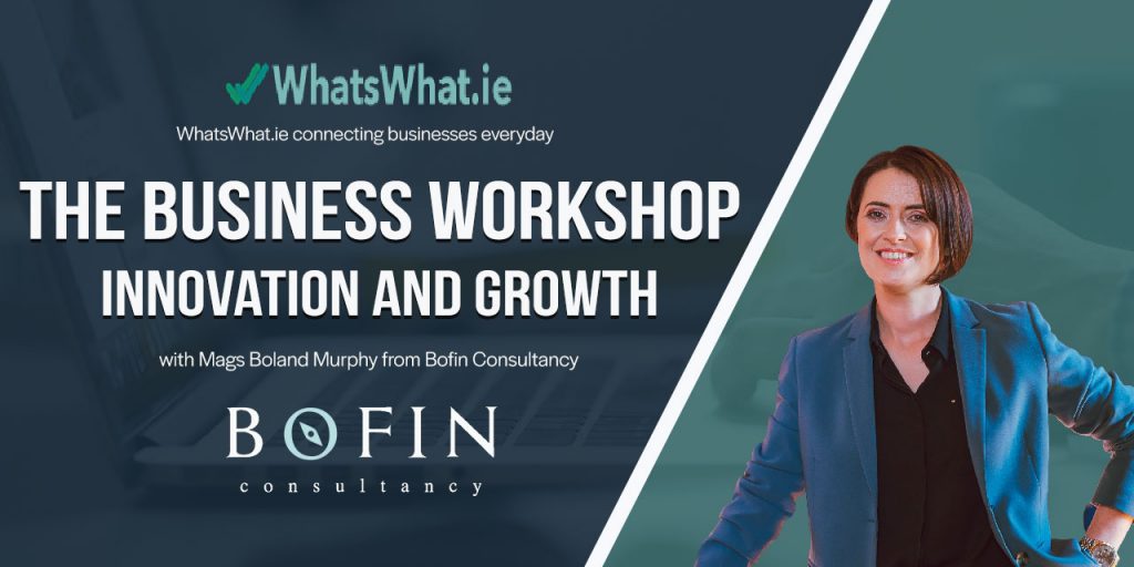 Business Innovation Workshop with Mags Boland from Bofin Consultancy