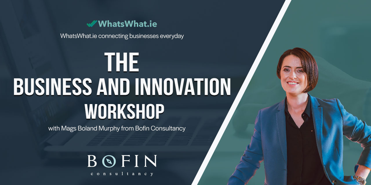 The Business and Innovation Workshop with Mags Boland Murphy from Bofin Consultancy