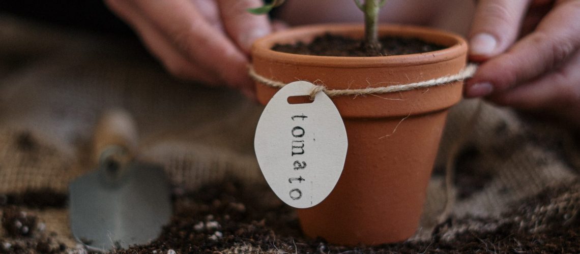 Garden Planting Tips from Atkins